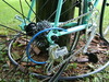 Bianchi Specialissima X4 photo