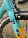 Bianchi Specialissima Pantani 20th Anniv photo