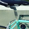 Bianchi Sport SX photo