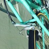 Bianchi Sport SX photo