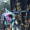 Bianchi Strada photo