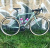 Bianchi Strada photo