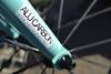 Bianchi Super Pista 2012 photo