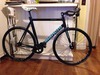 Bianchi Super Pista 2013 photo