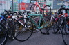 Bianchi Super Pista 2013 photo