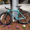 Bianchi Super Pista photo