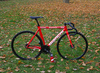 Bianchi Super Pista Satin Red photo