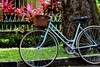 bike couple photo