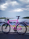 Bike Mielec 67 cm Fixed Gear photo