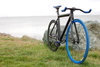 Black / Blue Leader 725 2013 photo
