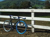 Black / Blue Leader 725 2013 photo