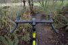 Black Mountain Cycles Road+ photo