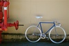 NJS Mr. Sparkle Yanagisawa in Blue :) photo