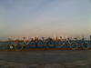 BLUE BULL-PAKE photo