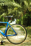 Blue VISP TRX 790 photo