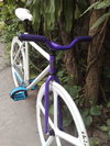 MONGOOSE Maurice FGFS "BLURPLE" photo