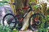 BMC Fourstroke FS01 '12 photo