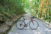 BMC SLC01 ProMachine photo