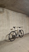 Bmc Trc01 rat photo