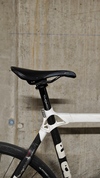 Bmc Trc01 rat photo