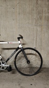 Bmc Trc01 rat photo