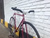 Bomber Pro NJS(lo Pro) photo