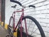 Bomber Pro NJS(lo Pro) photo