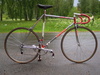 bottecchia crono italia photo