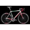 Bottecchia Emme 2 Team PRO Level photo