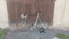 Bottecchia Equipe Pista photo