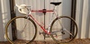 Bottecchia Professional Legendaria 1989 photo