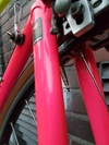 Bottecchia SCIC - 90ties Makeover photo