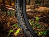 Bottecchia Sunkiss 26 photo