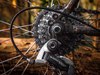 Bottecchia Sunkiss 26 photo