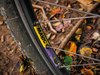 Bottecchia Sunkiss 26 photo
