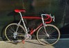 Bottecchia Team ADR 1989 photo