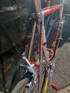 Bottecchia Team ADR 1989 photo