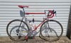 Bottecchia Team ADR 1989 photo