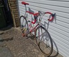 Bottecchia Team ADR 1989 photo