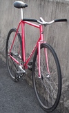 Bridgestone Anchor 2009 NJS Kaisei photo