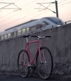 Bridgestone Anchor 2009 NJS Kaisei photo