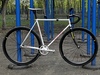 Bridgestone Anchor photo