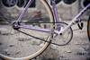 Bridgestone Anchor NJS photo