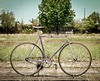 Bridgestone Anchor NJS photo