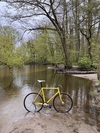 Bridgestone Anchor NJS photo