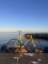 Bridgestone Anchor NJS photo
