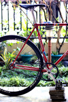 Bridgestone Anchor NJS Red Sparkle photo