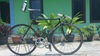 Bridgestone Black NJS 52,5 photo