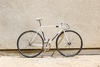 Bridgestone Njs Pearl White photo