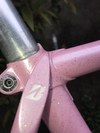 Bridgestone Pink Sparkle NJS photo